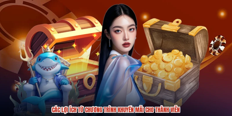 Các lợi ích từ chương trình khuyến mãi cho thành viên