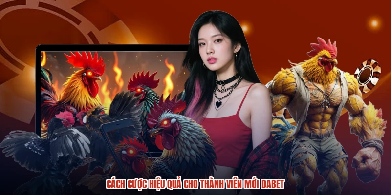 Cách cược hiệu quả cho thành viên mới DABET