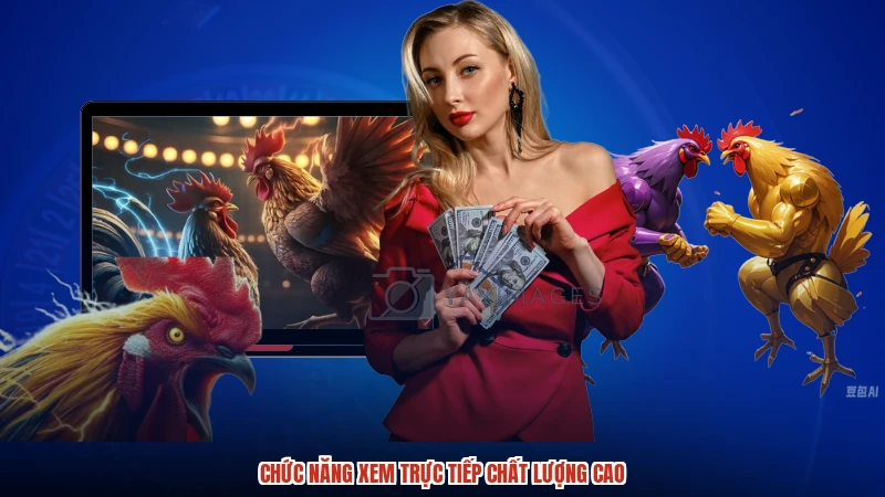Chức năng xem trực tiếp chất lượng cao