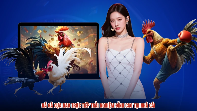 Đá Gà Cựa Dao Trực Tiếp Trải Nghiệm Đỉnh Cao Tại Nhà Cái