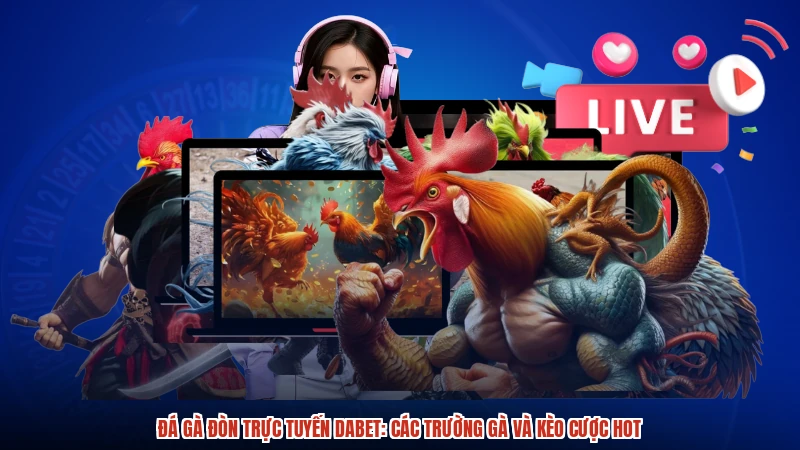 Đá Gà Đòn Trực Tuyến DABET: Các Trường Gà Và Kèo Cược Hot