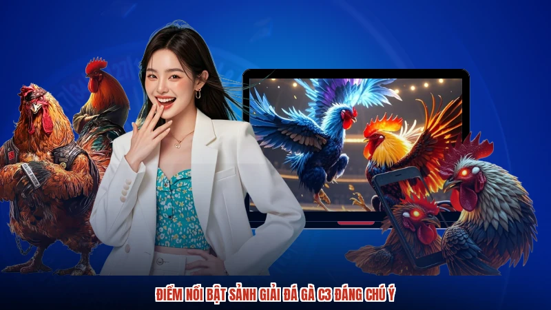 Điểm nổi bật sảnh giải đá gà C3 đáng chú ý