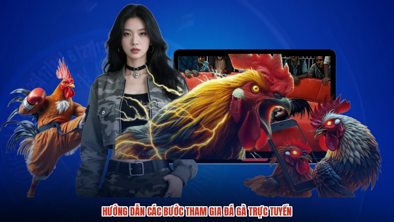 Hướng dẫn các bước tham gia đá gà trực tuyến Hướng dẫn các bước tham gia đá gà trực tuyến