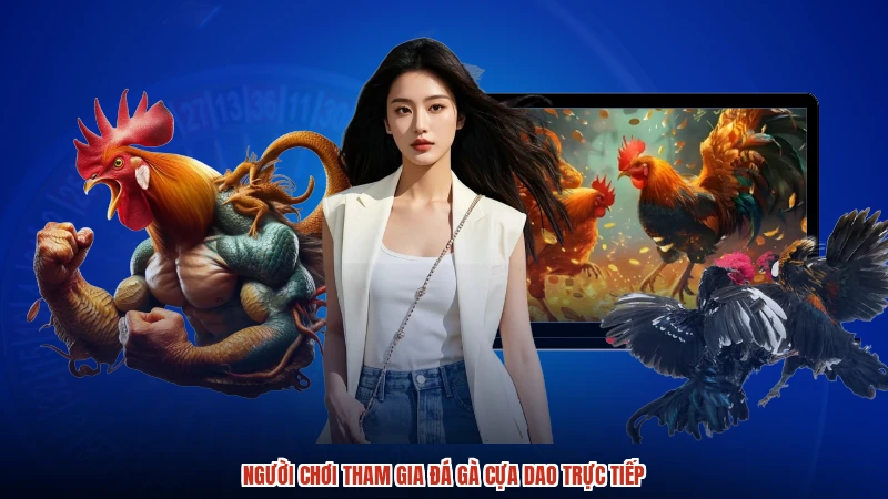 Người chơi tham gia đá gà cựa dao trực tiếp Người chơi tham gia đá gà cựa dao trực tiếp