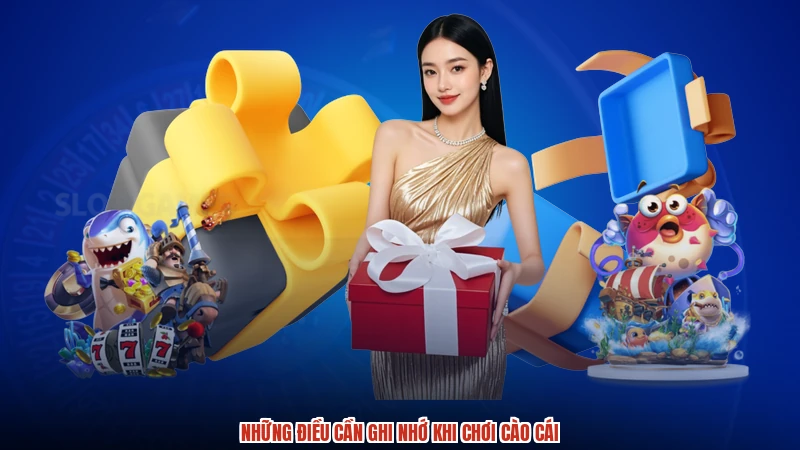 Những điều cần ghi nhớ khi chơi cào cái