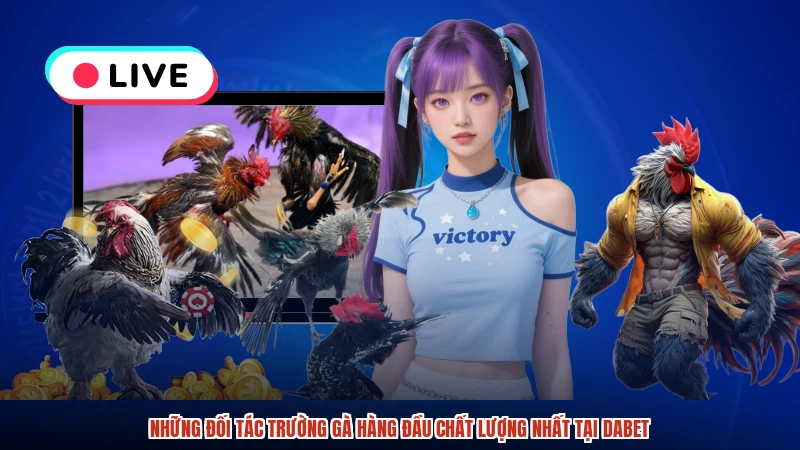 Những đối tác trường gà hàng đầu chất lượng nhất tại DABET