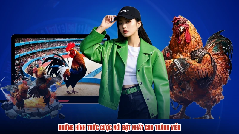 Những hình thức cược nổi bật nhất cho thành viên