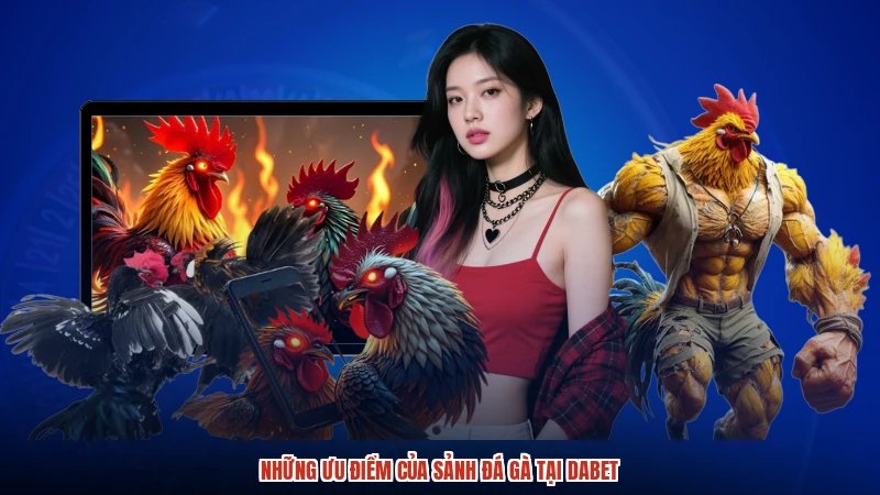 Những ưu điểm của sảnh đá gà tại DABET